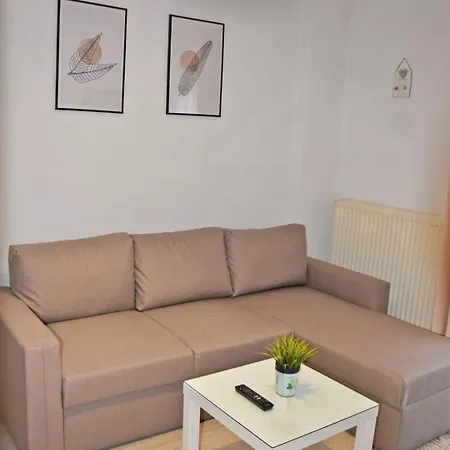Center River Apartment *