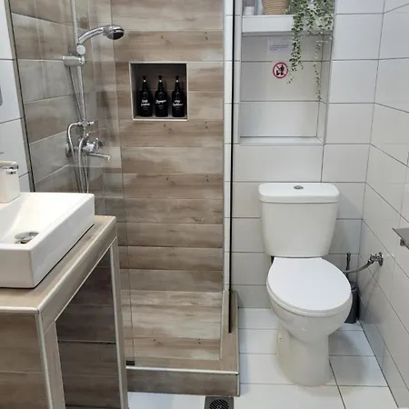 Center River Lägenhet *